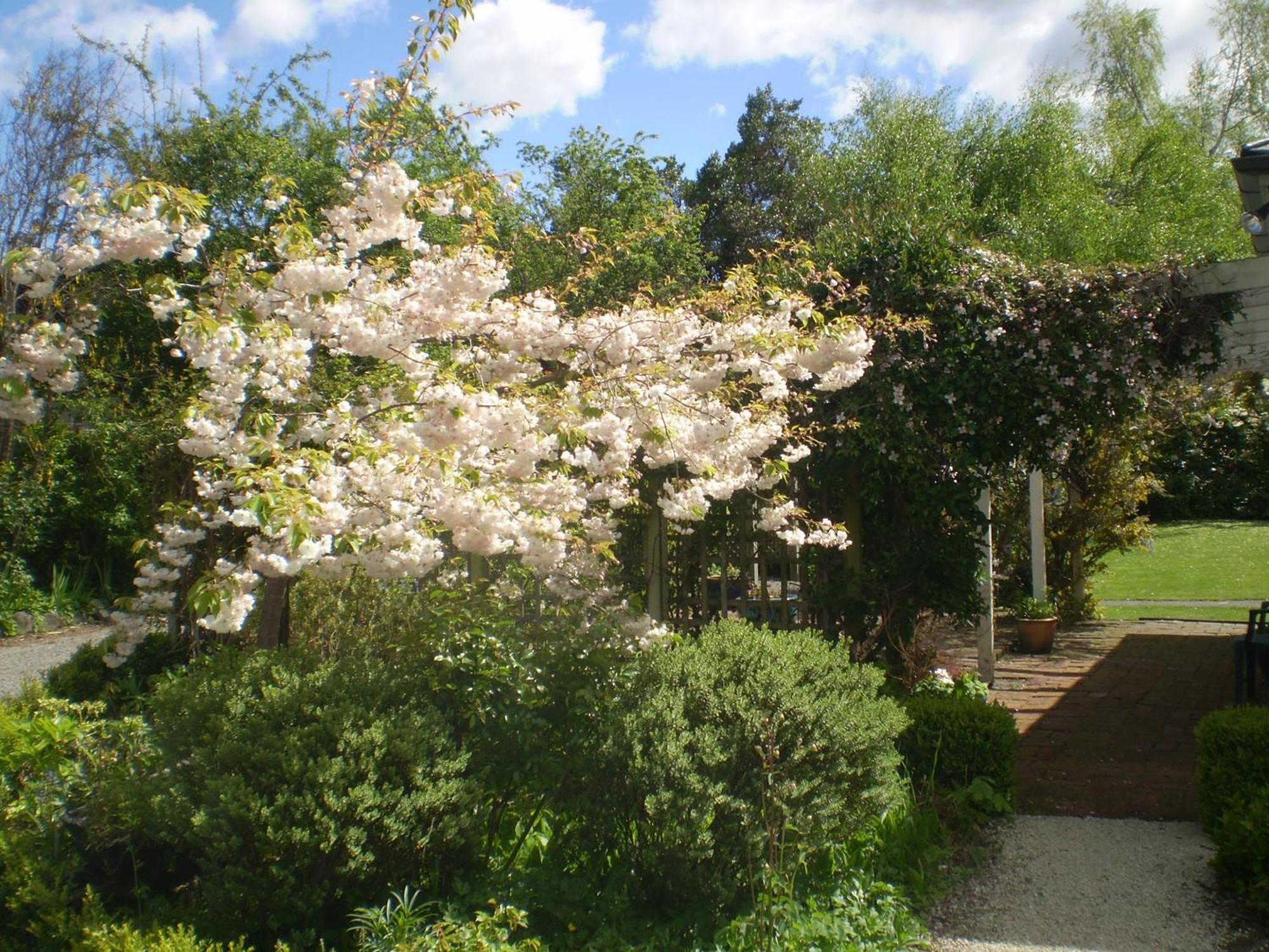 Harrogate Gardens Motel Hanmer Springs Exterior foto